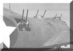 b17.jpg