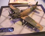 4_A-1H_4615.JPG