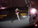 noseart-right.jpg
