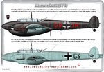 Bf110smaller.jpg