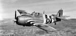 grumman-f4f-martlett.jpg