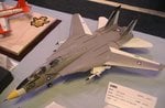 6_F-14A_4623.JPG