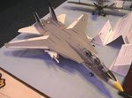 6_F-14A_4624.JPG