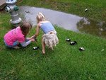 skunkbabies[800].jpg