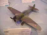 11_Curtis Hawk_4637.JPG