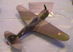 11_Curtis Hawk_4676.JPG