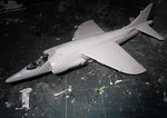 Harrier 020.jpg