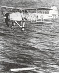 swordfish_i__kb428__189.jpg