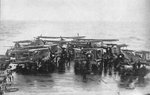 hms_ark_royal_810_sqn_swordfish_205.jpg