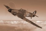 hurricanne-serp_174.jpg