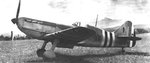 free_french_d.520_104.jpg