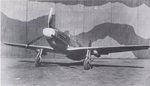 mustang_i_with_vicker-s_40_mm_131.jpg