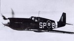 raf_co-op_command_mustang_i__ag528__294.jpg