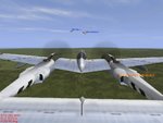 fork_tailed_devil_158.jpg