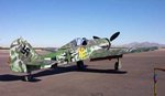 fw190d13reffw_4_991.jpg