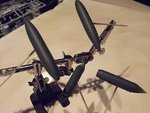 Harrier 028.jpg