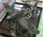 8_Typhoon_7072.JPG