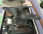 8_Typhoon_7084.JPG