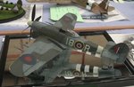 8_Typhoon_7073.JPG