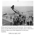 terry003.jpg