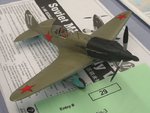 9_Mig 3_7095.JPG