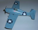 Wildcat HobbyBoss_1a.jpg