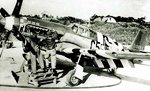 d-day-p-51-mustang-invasion-stripes.jpg
