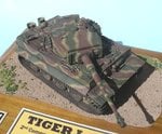 11_Tiger 211_8346.JPG