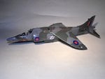Harrier 036.jpg
