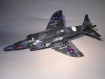 Harrier 037.jpg