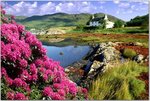 Cottage at Dornie, Lochalsh, Scotland.jpg