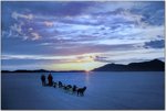 Dogsledding Near Nome, Alaska.jpg
