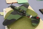12_IL-2M_7064.JPG