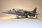 Harrier 044.jpg