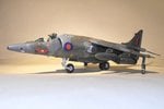 Harrier 044.jpg