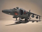 Harrier 050.jpg