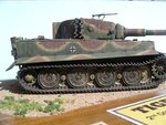 18_Tiger 211_8357.JPG