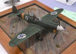 14_P-40_7382.JPG