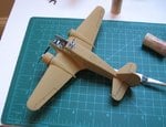 IMG_0494v1.JPG