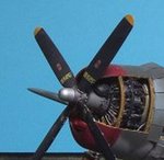 ~Cowling model.jpg