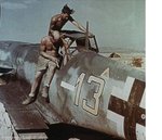 bf10913.jpg
