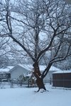 IMG_5791.JPG