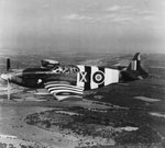 Mustang Mk I.jpg