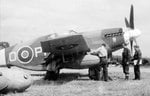 POLISH MUSTANG IIII.jpg