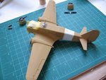 IMG_0500v1.JPG