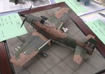16_Skyraider_7102.JPG