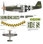 p51boldcrowmalcomhood.jpg