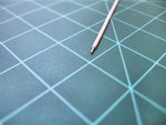 IMG_0533v1.JPG