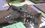 P-47_7058.JPG
