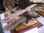 2_Albacore_4374.JPG